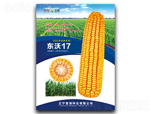 東沃17-玉米種子-登海種業(yè)