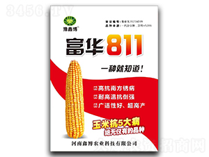 富華811-玉米種子-鑫博農(nóng)業(yè)