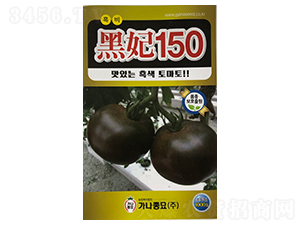 黑妃150-番茄種子-山田盛種苗