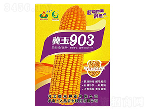 玉米種子-冀玉903-上之品農(nóng)業(yè)