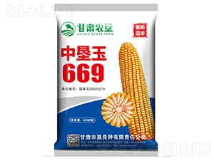 中墾玉669-玉米種子-甘肅農(nóng)墾