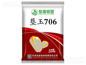 墾玉706-玉米種子-甘肅農(nóng)墾