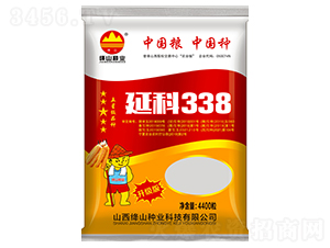 延科338玉米種子-瑞恒農(nóng)業(yè)