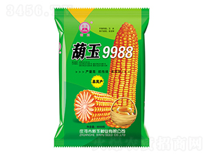 葫玉9988玉米種子-新玉種業(yè)