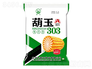 葫玉303-玉米種子-新玉種業(yè)