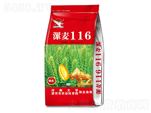 漯麥116（12.5kg）-小麥種子-愛農(nóng)華種業(yè)