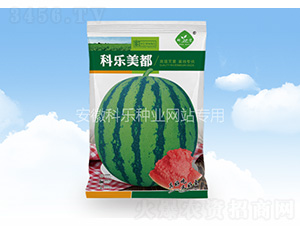 科樂(lè)美都（袋）-科樂(lè)種業(yè)