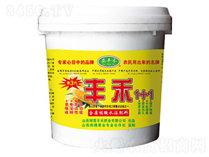 豐禾1+1含腐植酸水溶性肥料(玉米專用)-蕊豐禾